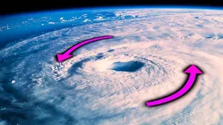 What is the Coriolis Effect?