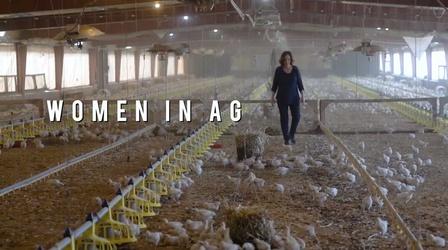 Video thumbnail: American Grown: My Job Depends on Ag Women In Ag