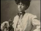 Amanda Lee, 1874 - 1886