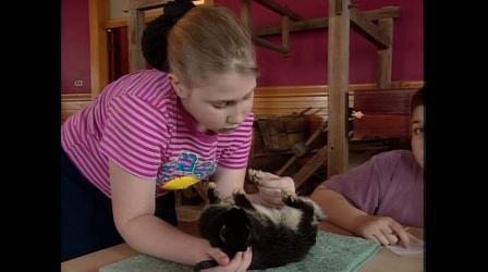 Video thumbnail: Rural Free Delivery 4-H Rabbit Project/Cow Power/Trout