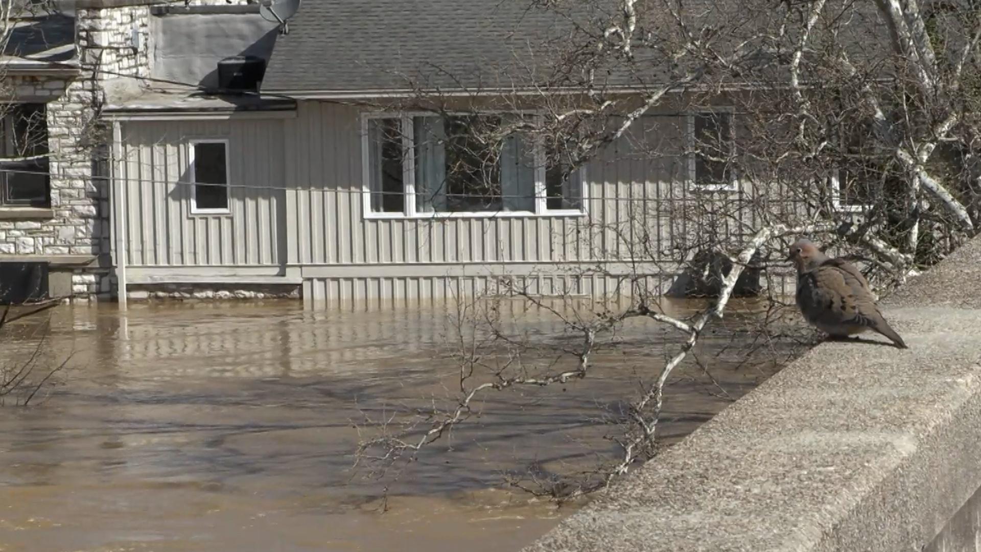 Kentucky Counties to Get Federal Assistance for Storm Damage