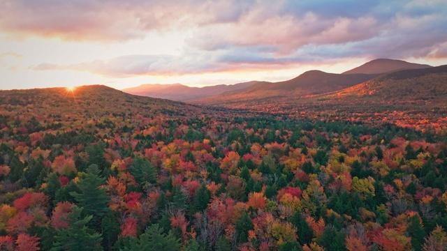 View Finders | New Hampshire
