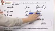 3-307: Prefixes with 'Not' and Related Words