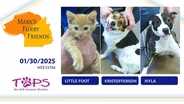 01/30/2025 | Little Foot, Kristofferson and Nyla | Mark’s Furry Friends Extra