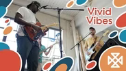 Vivid Vibes
