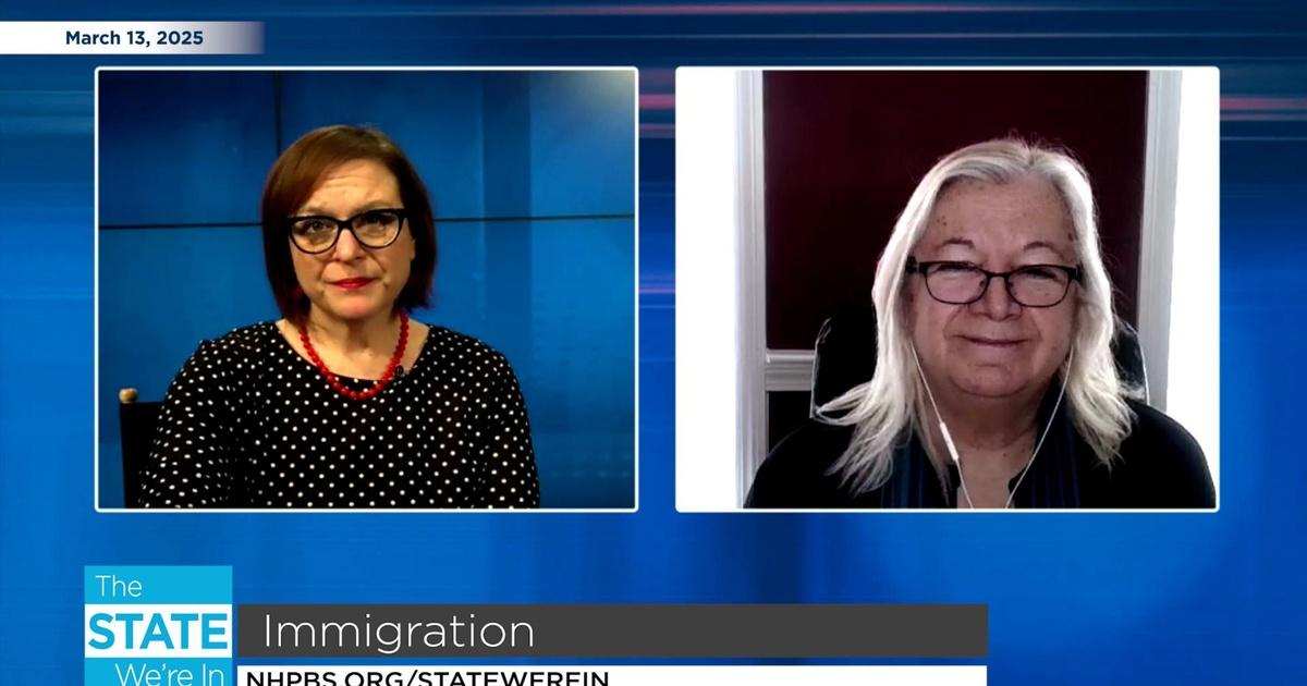 The State We're In | Immigration | Episode 218