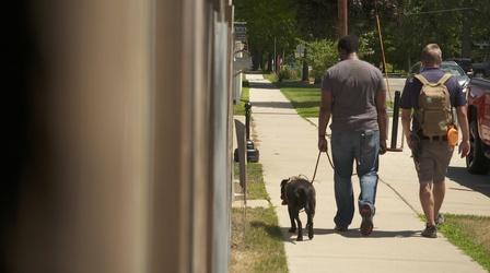 Video thumbnail: A Dog's Service Do Service Dogs Limit Reliance on Drugs?