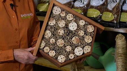 Video thumbnail: Backyard Farmer Garden Center New Items & Compost
