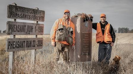 Video thumbnail: Prairie Sportsman Pheasants and Pollinators