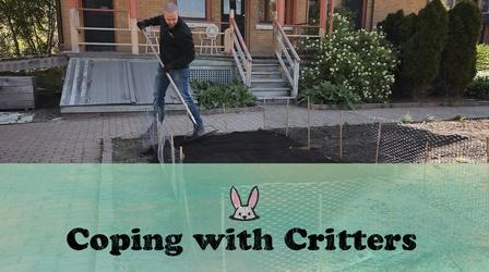 Video thumbnail: Let's Grow Stuff Coping With Critters