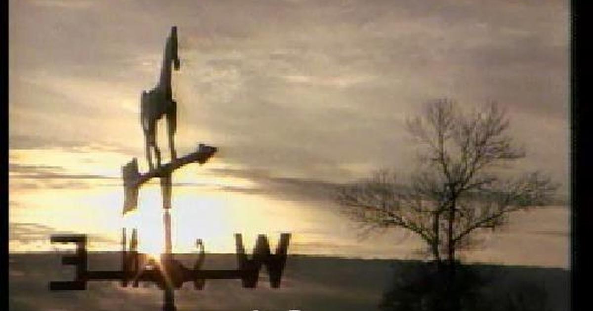 Almanac | january 5, 2001 | season 2001 | episode 17