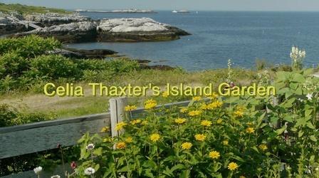 Video thumbnail: Maine Public Film Series Celia Thaxter’s Island Garden