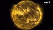 The Dig: Solarium