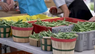 Daybreak Farmers Market