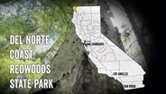 Del Norte Coast Redwoods State Park