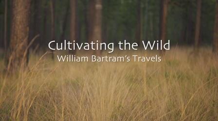 Video thumbnail: SCETV Presents Cultivating the Wild