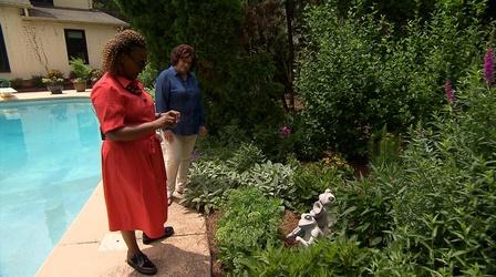 Video thumbnail: Volunteer Gardener Volunteer Gardener 3007