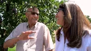 Manseena Orchards