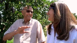 Manseena Orchards