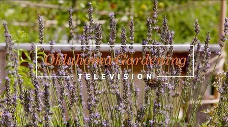 Video thumbnail: Oklahoma Gardening #4928 Garden Plants on the Best of Oklahoma Gardening