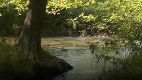 Video thumbnail: WHYY Series Stories from the Streams: Back to our Roots