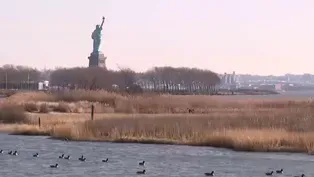 Senate committee passes bill to protect Caven Point