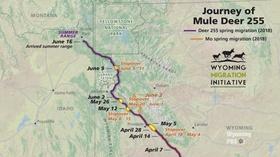 Video thumbnail: Wyoming Chronicle Wyoming Migration Initiative