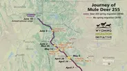 Wyoming Migration Initiative