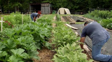 Video thumbnail: Virginia Home Grown Hidden Springs Family Farm