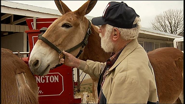 Thumbnail for America's Heartland Season 19 Episode 4