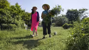 The simple act of planting native species