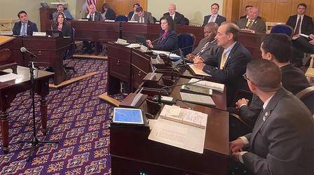 Video thumbnail: Ideas State budget talks move on to the Ohio Senate
