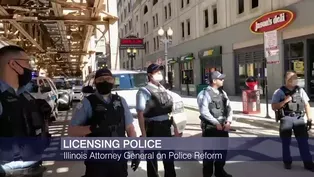 Should Police Officers Be Licensed?