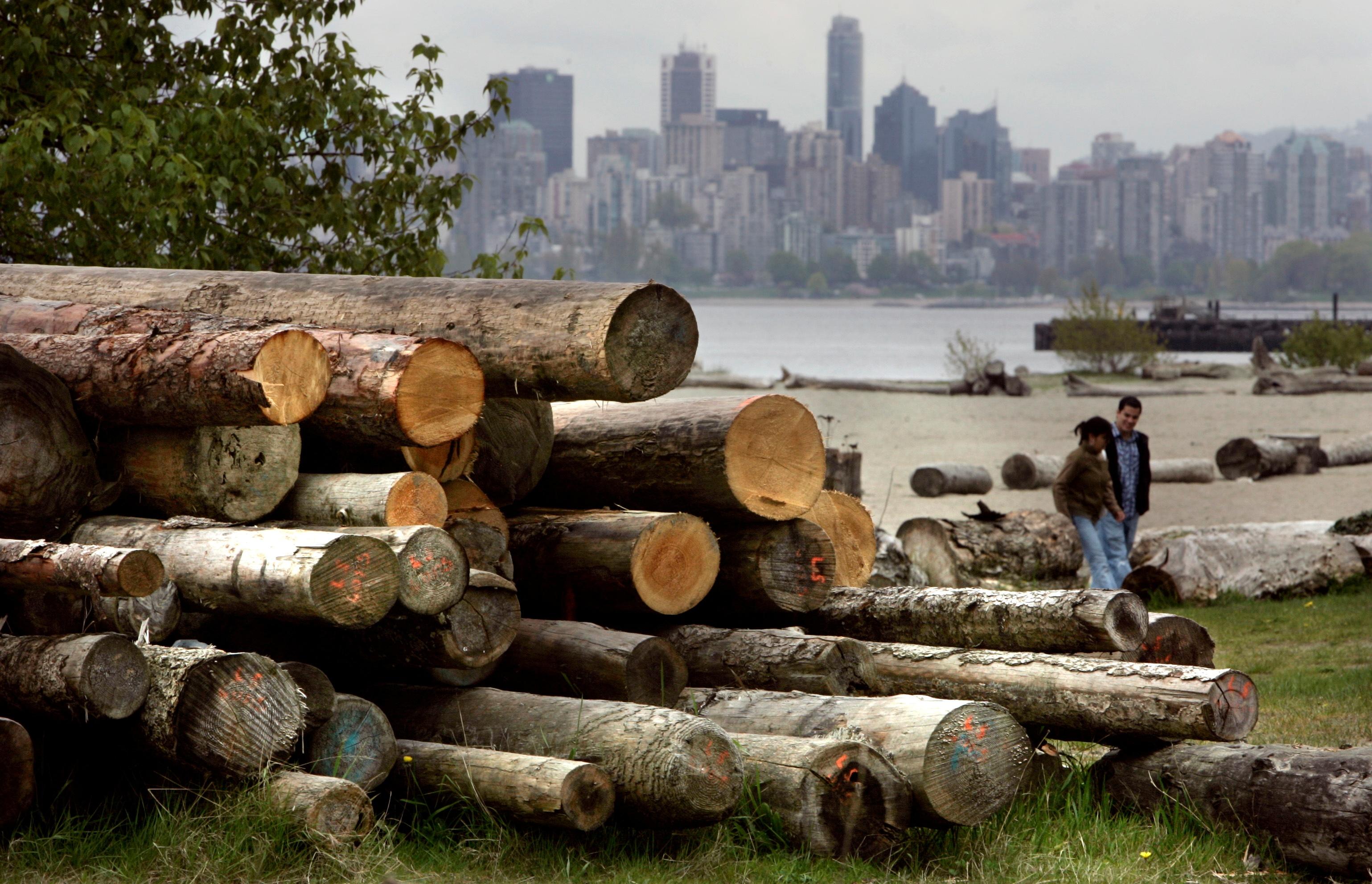 How a tariff on Canadian lumber could backfire on the U.S.
