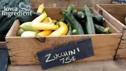 Zucchini