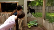 Potter Park Zoo in Lansing | Curious About Michigan