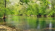 Downstream