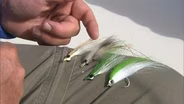 Fly Fishing for Speckle Trout | Gear Time