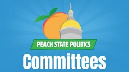 Video thumbnail: Georgia Stories Meet and Repeat: The Role of Legislative Committees