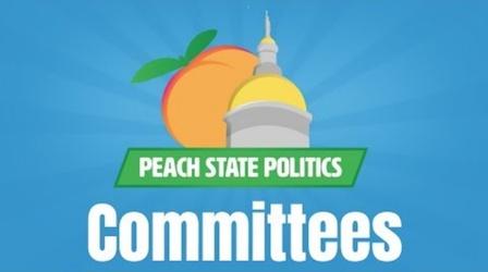 Video thumbnail: Georgia Stories Meet and Repeat: The Role of Legislative Committees