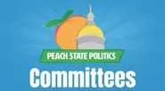 Meet and Repeat: The Role of Legislative Committees