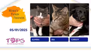 05/01/2025 | Almira, Ira and Carley | Mark's Furry Friends