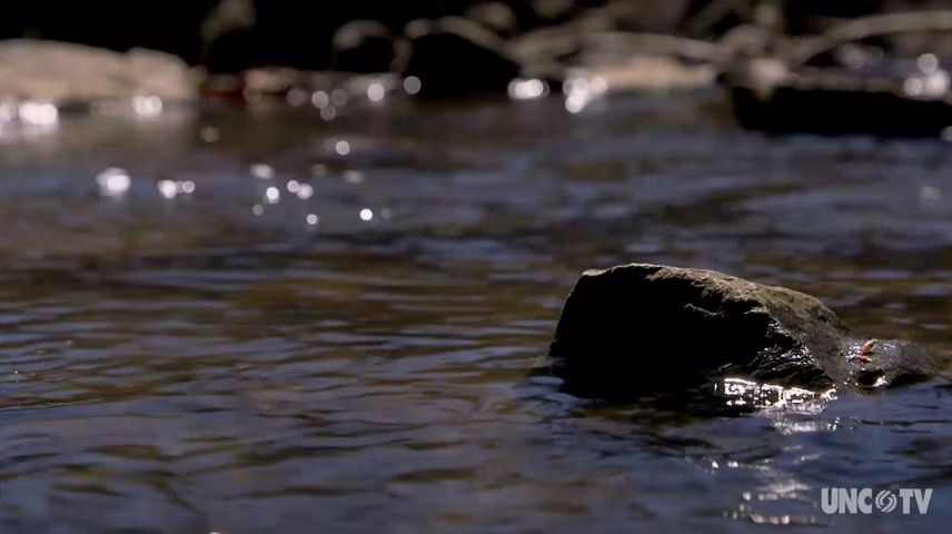 SciTech Now North Carolina