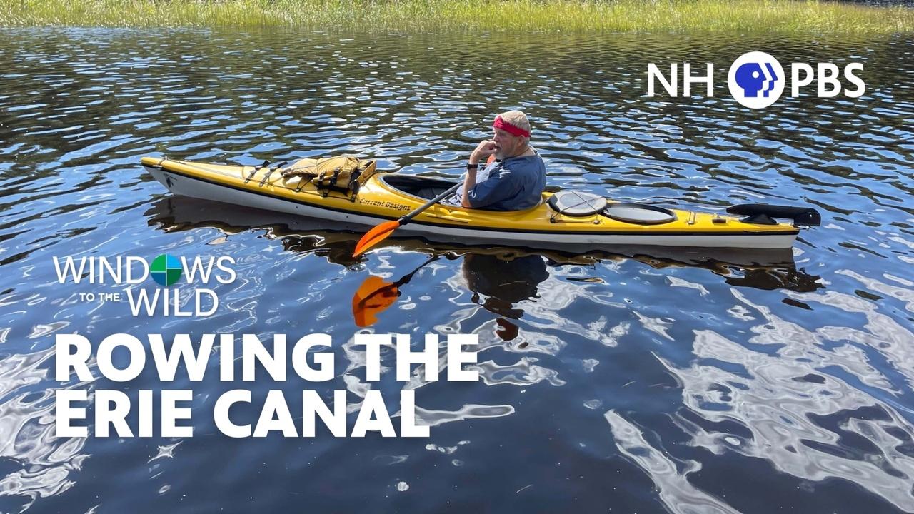 Windows to the Wild | Rowing the Erie Canal