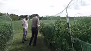 Growing Solutions