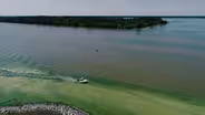 Toxic Algae and the Climate Conundrum