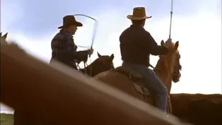 Keep Calm, And The Wranglers Close