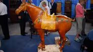 Appraisal: Tang Dynasty Ceramic Horse Sculpture