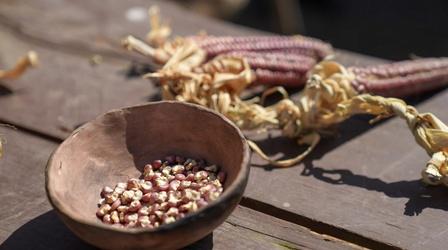 Video thumbnail: VPM News Focal Point Food and Culture | March 23, 2023
