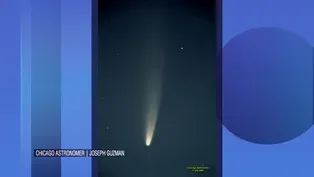 Newly Discovered Comet NEOWISE is Streaking Across the Sky